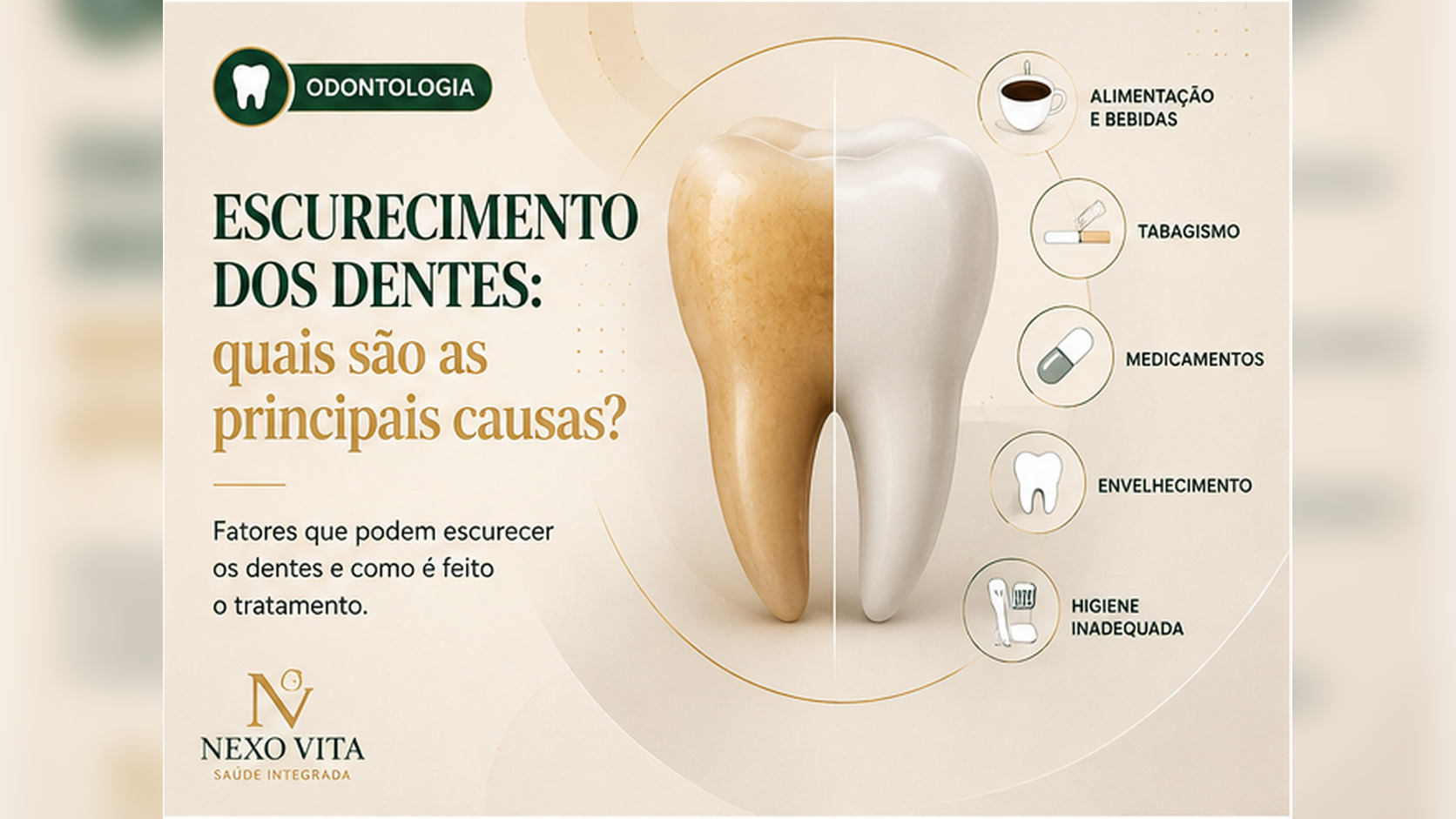 Comparação educativa de tonalidades dentárias durante avaliação odontológica